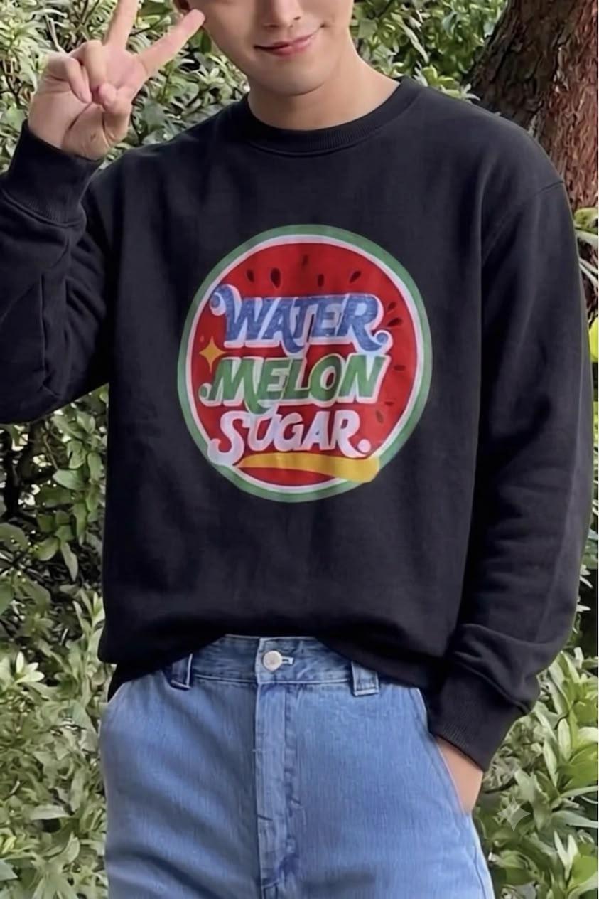 Bs Watermelon Sugar Karpuz Baskılı Unisex Bisiklet Yaka Sweatshirt