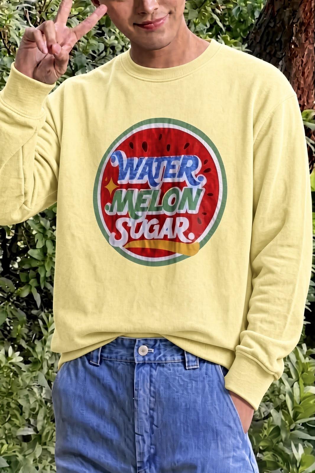 Bs Watermelon Sugar Karpuz Baskılı Unisex Bisiklet Yaka Sweatshirt