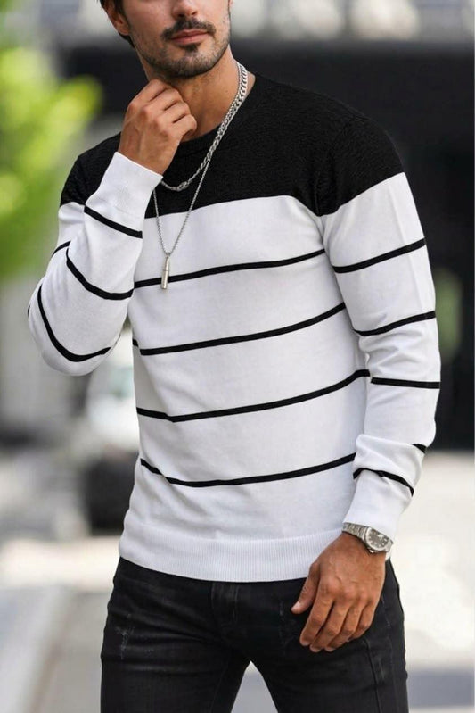 Santi Slim Fit Çizgili Bisiklet Yaka Erkek Triko Kazak