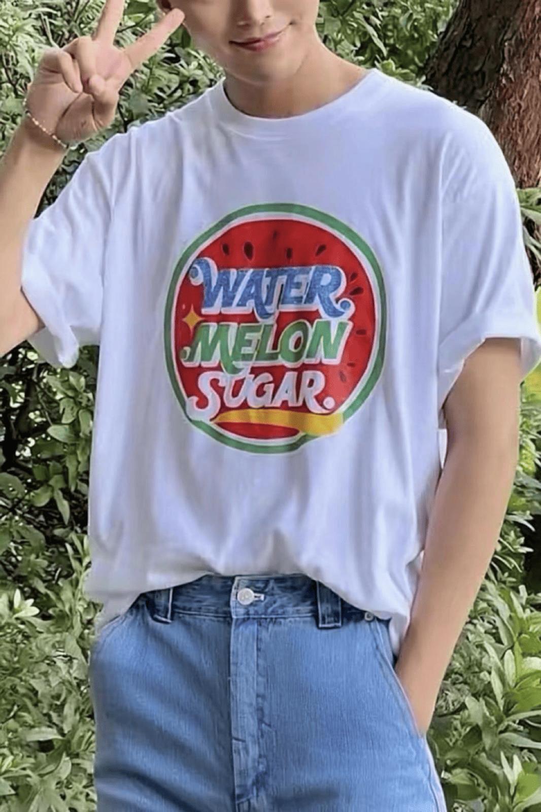Watermelon Sugar Retro Baskılı Oversize Unisex Pamuklu Tişört